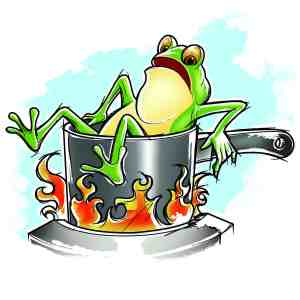 Frog in Hot Water